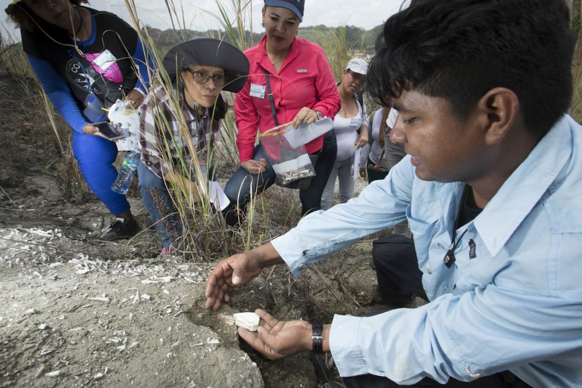 Ciencia frente al mar