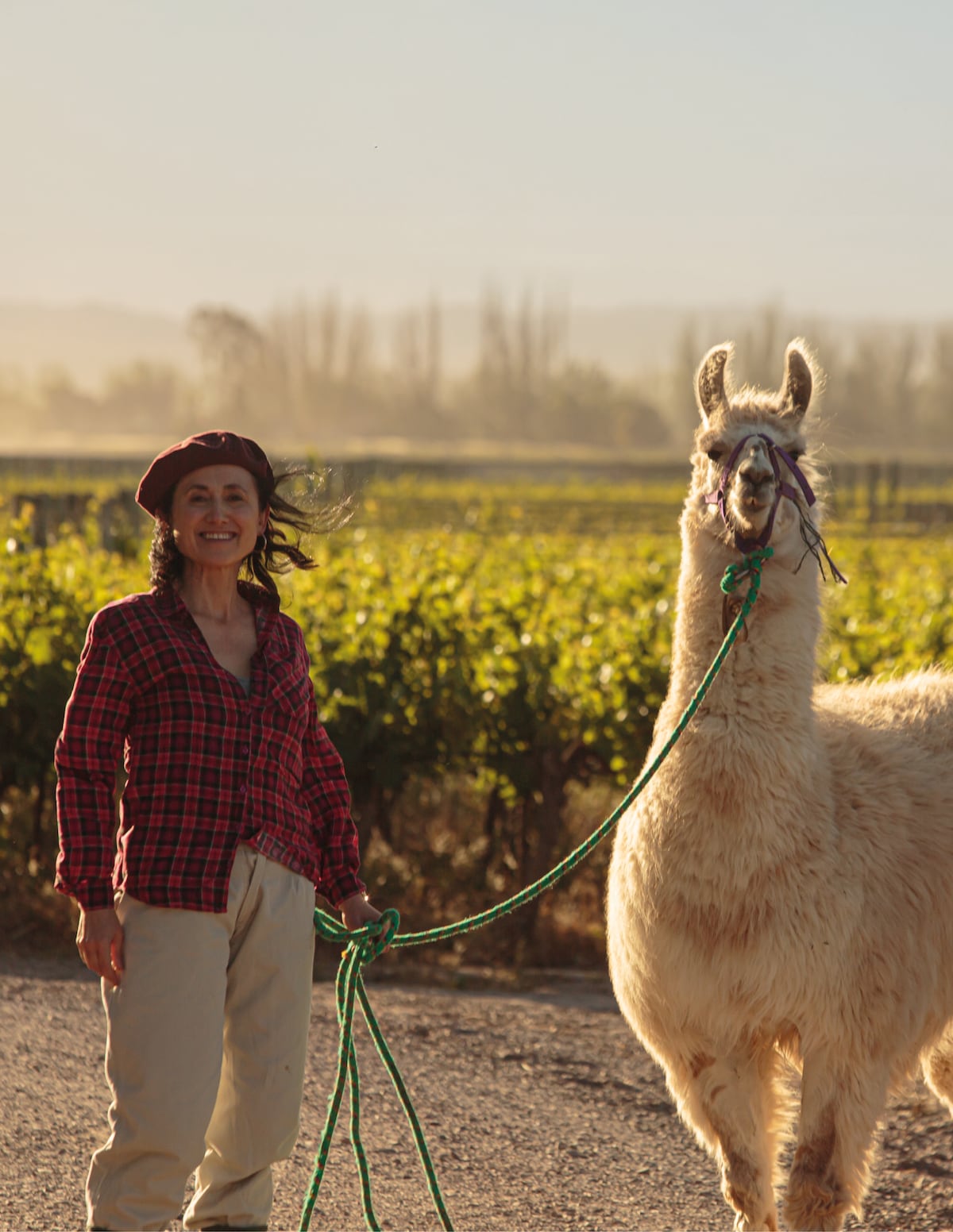 Laura Catena : La ciencia y el arte de producir vinos