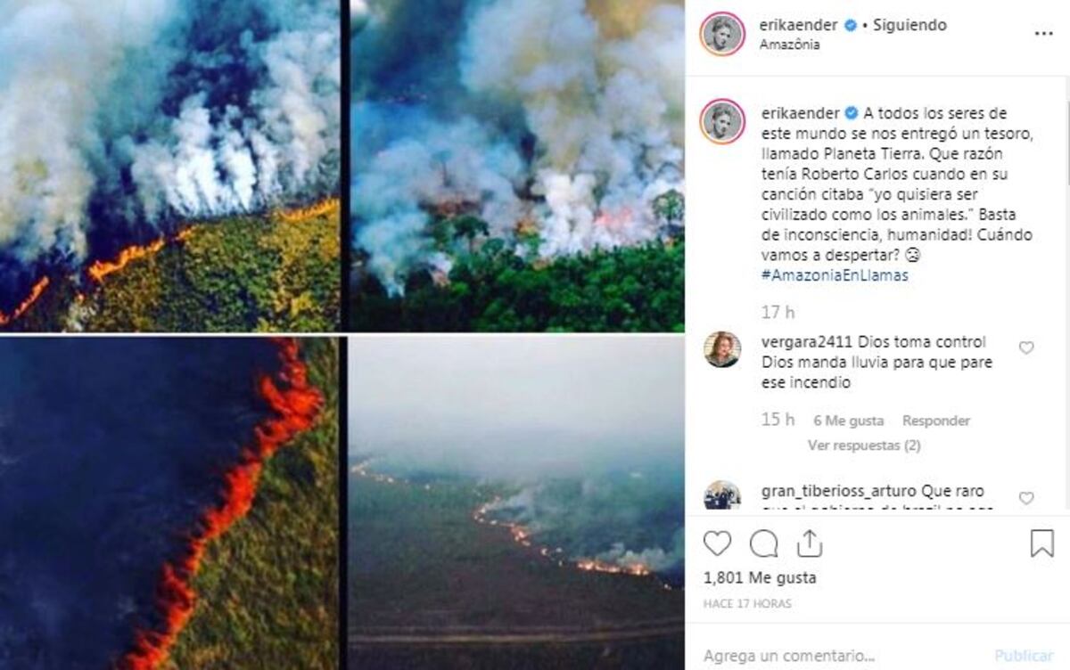 Leonardo DiCaprio y otras celebridades alzan su voz a favor del Amazonas