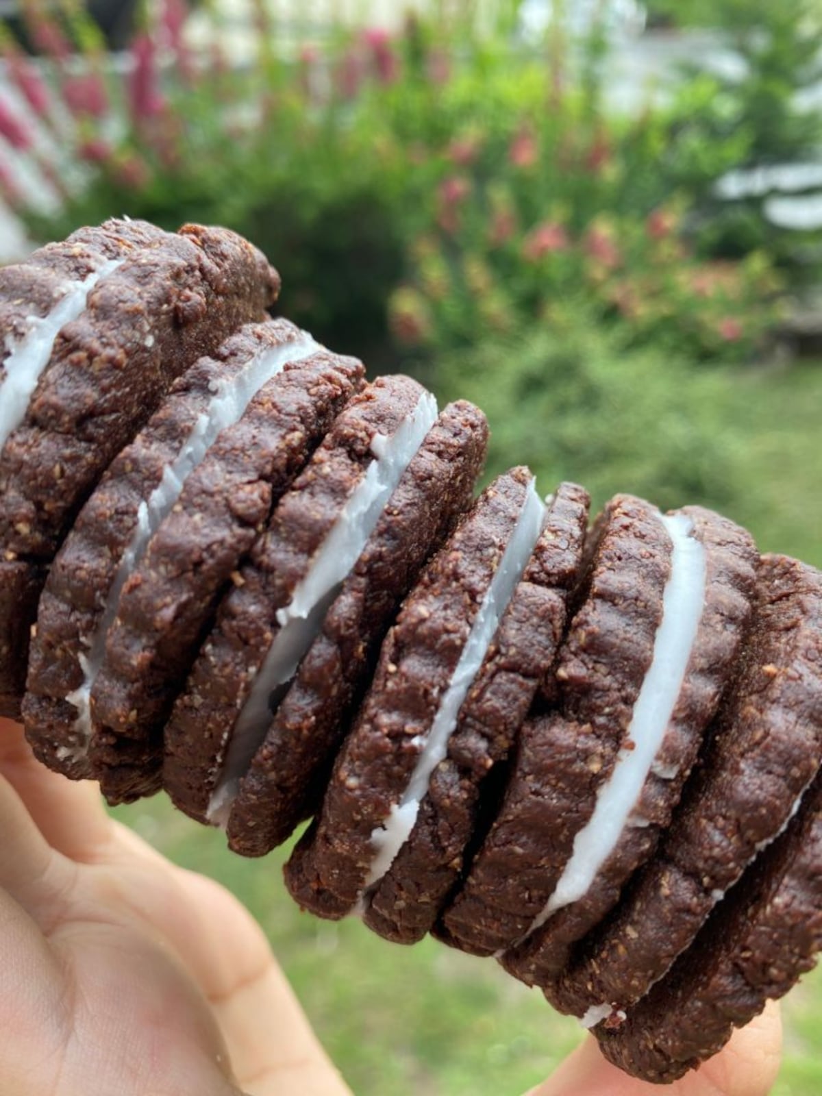 Dulces sin remordimiento: 5 emprendimientos de postres saludables en Panamá