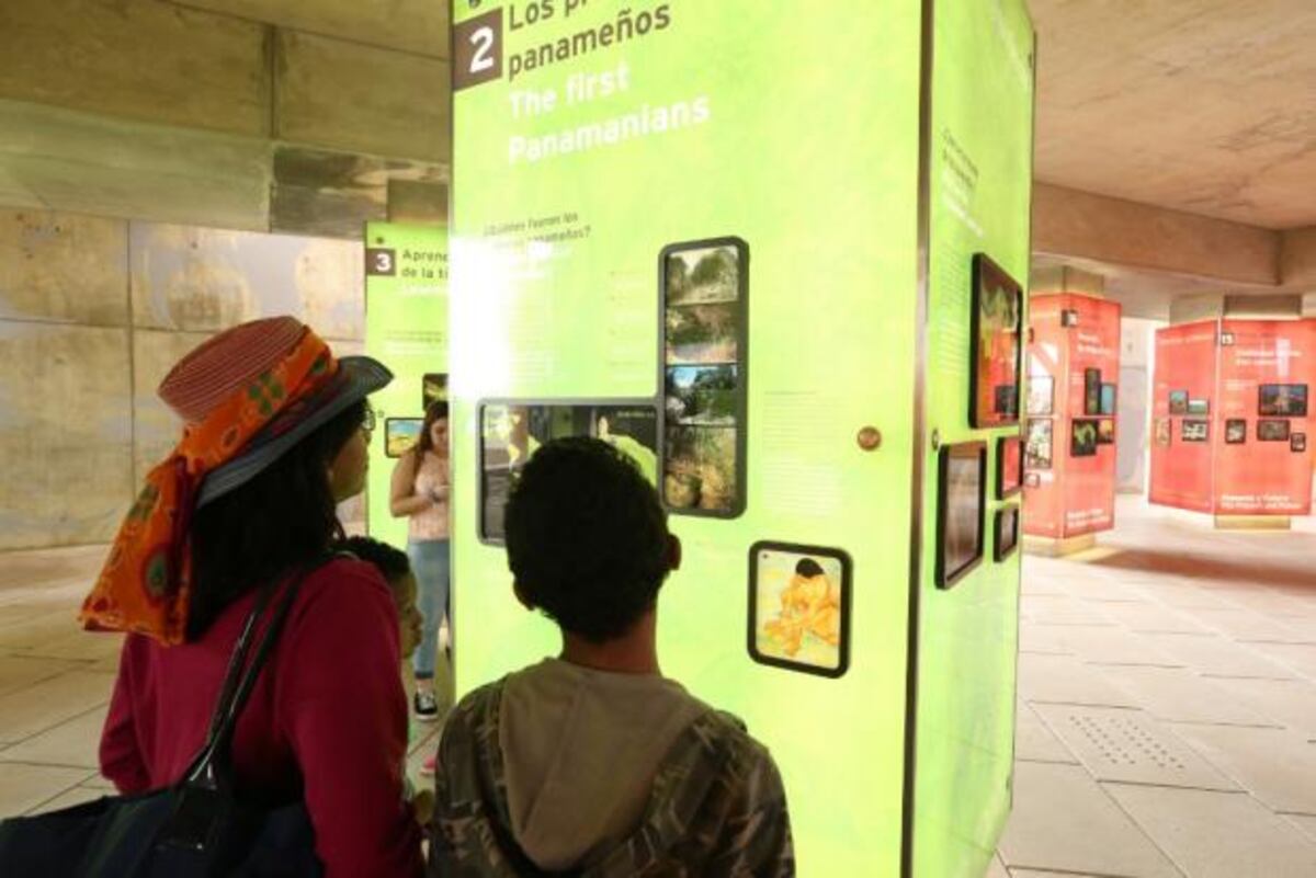 Domingos de biodiversidad.