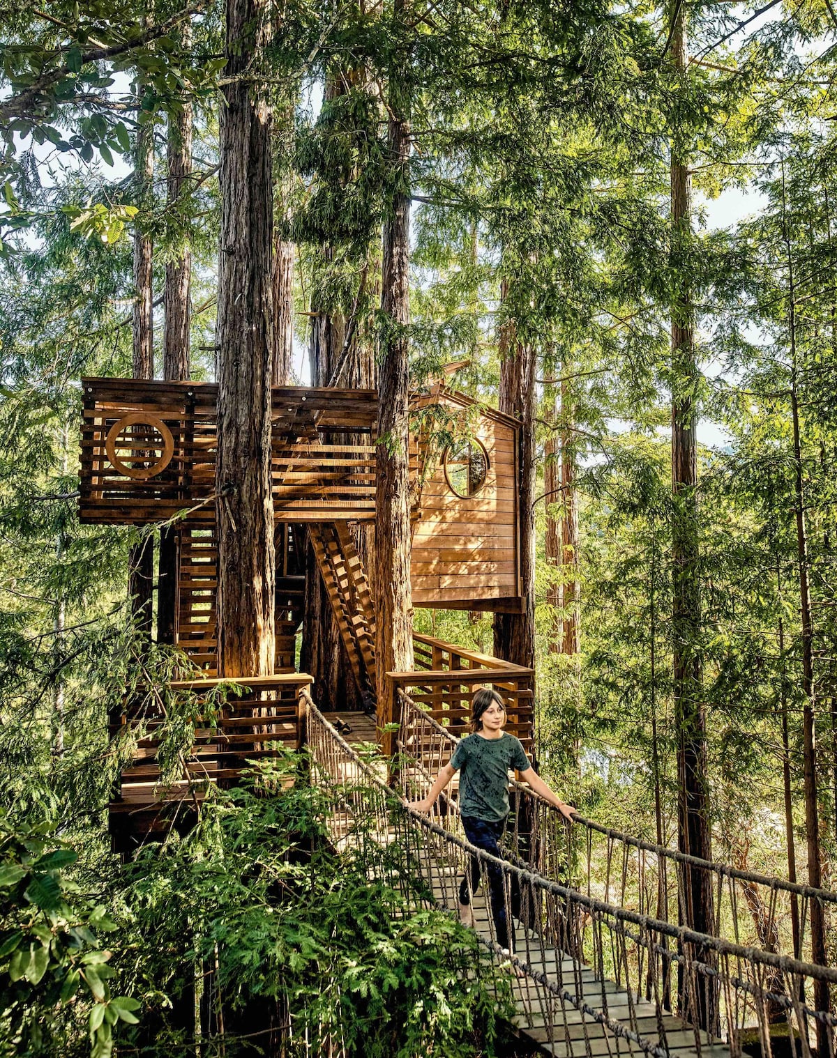 10 de las casas construidas en árboles más espectaculares del mundo (y una de ellas se encuentra en México)