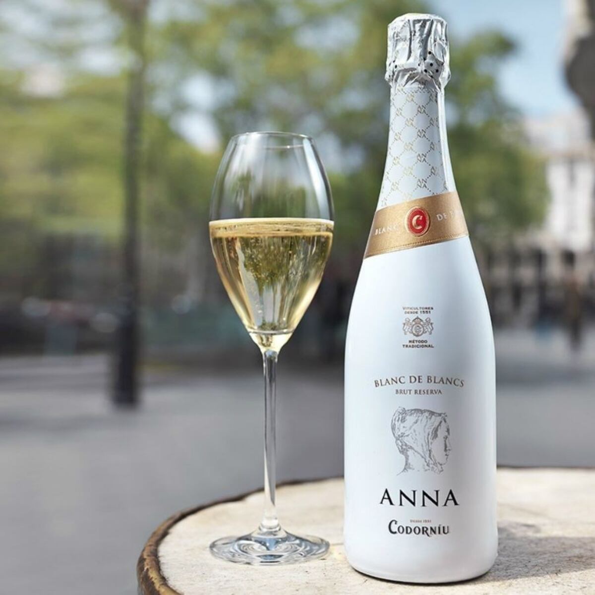 La panameña que educa sobre vinos en Nueva York (+sus recomendaciones de vinos bbb en Panamá)