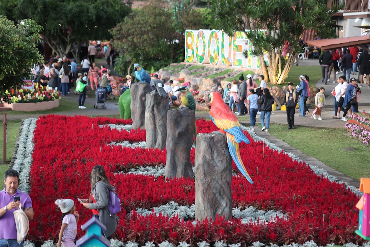 Miles de flores y el café más caro del mundo engalanan Boquete, el poblado en las montañas de Panamá
