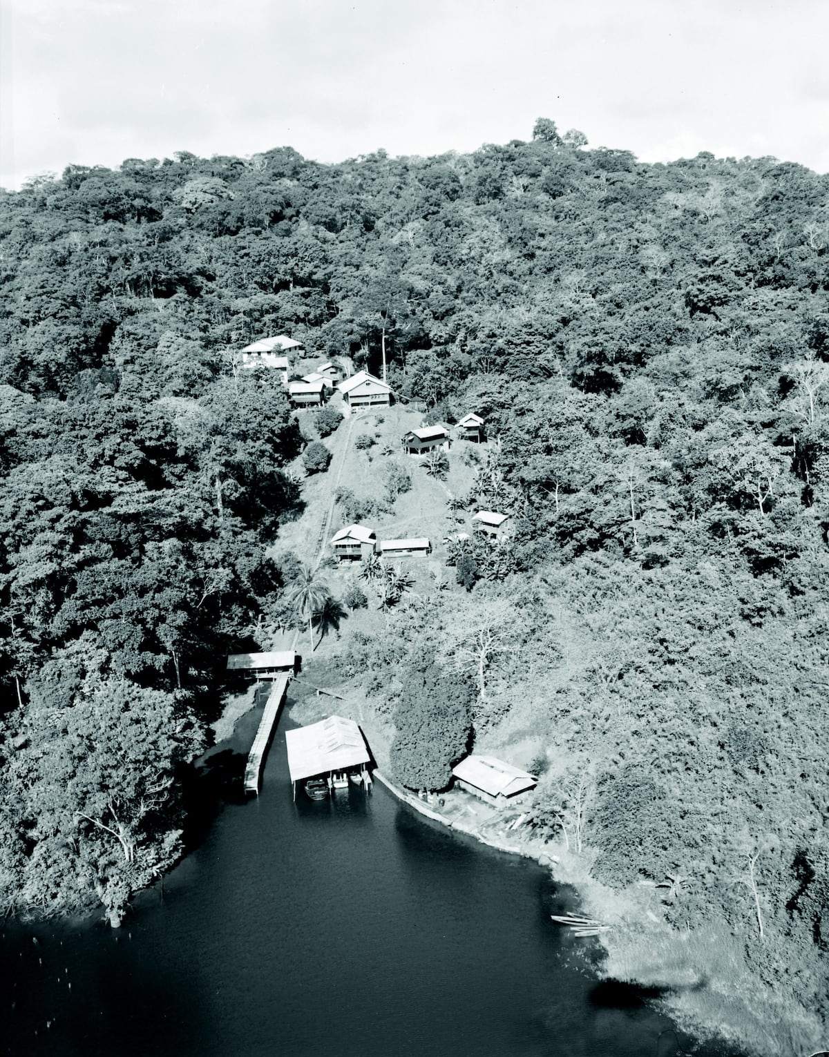 Fotos de más de 100 años tomadas en Isla Barro Colorado