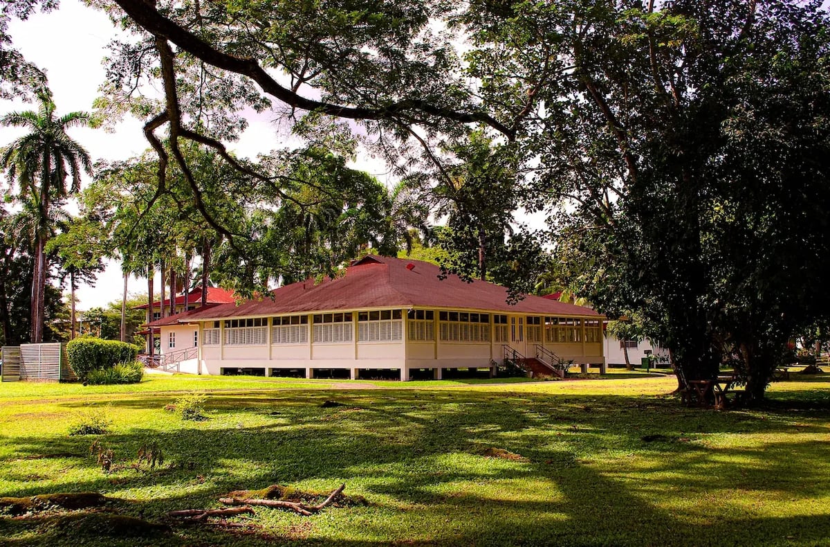 Seis actividades que no te puedes perder este fin de semana en la ciudad de Panamá