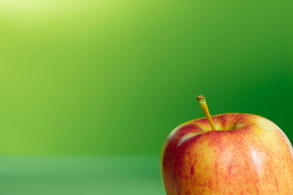 Una guía para las loncheras saludables