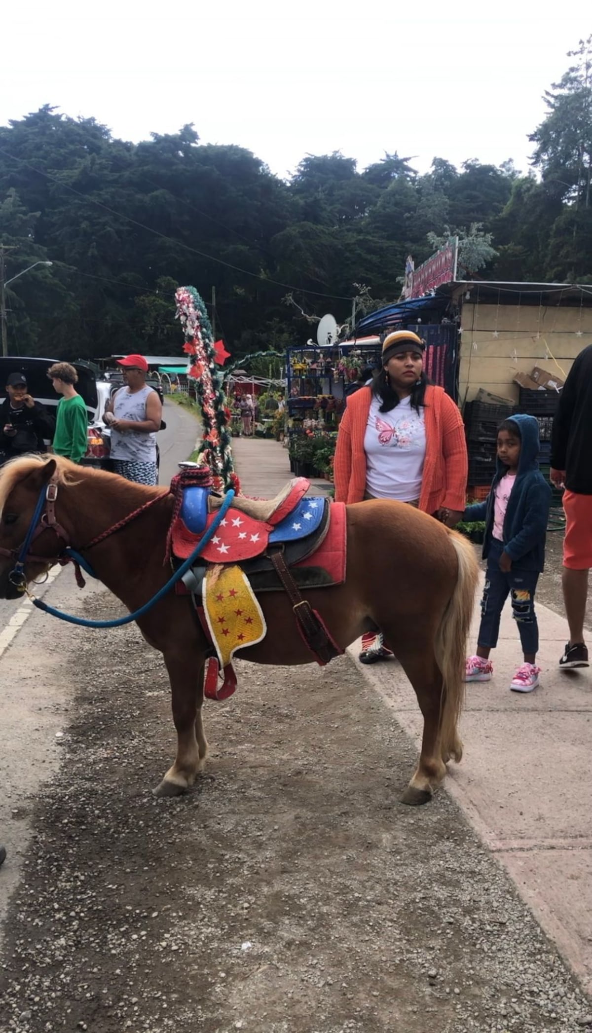 5 actividades que no te puedes perder si visitas Tierras Altas