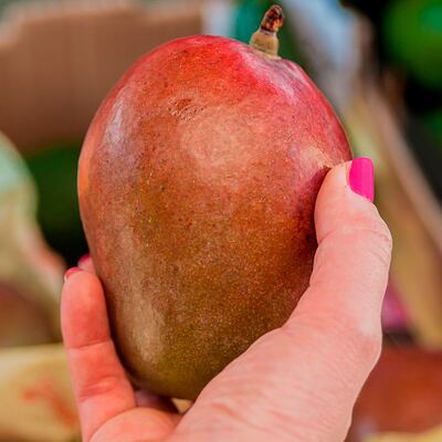 Mangos importados