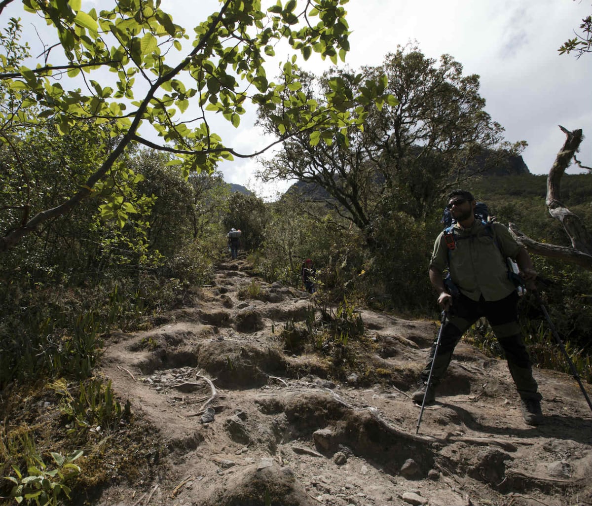 Jorge López, hasta la cima del volcán