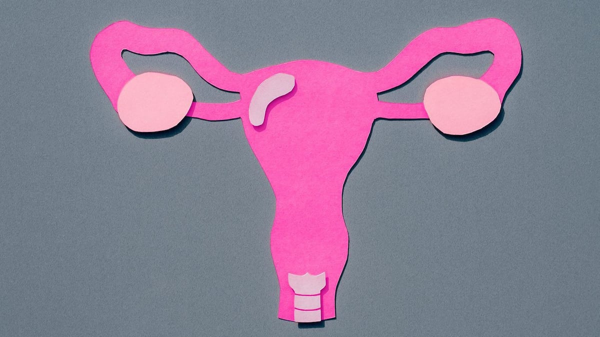 La sorprendente movilidad del útero y por qué es clave para el aparato reproductivo femenino