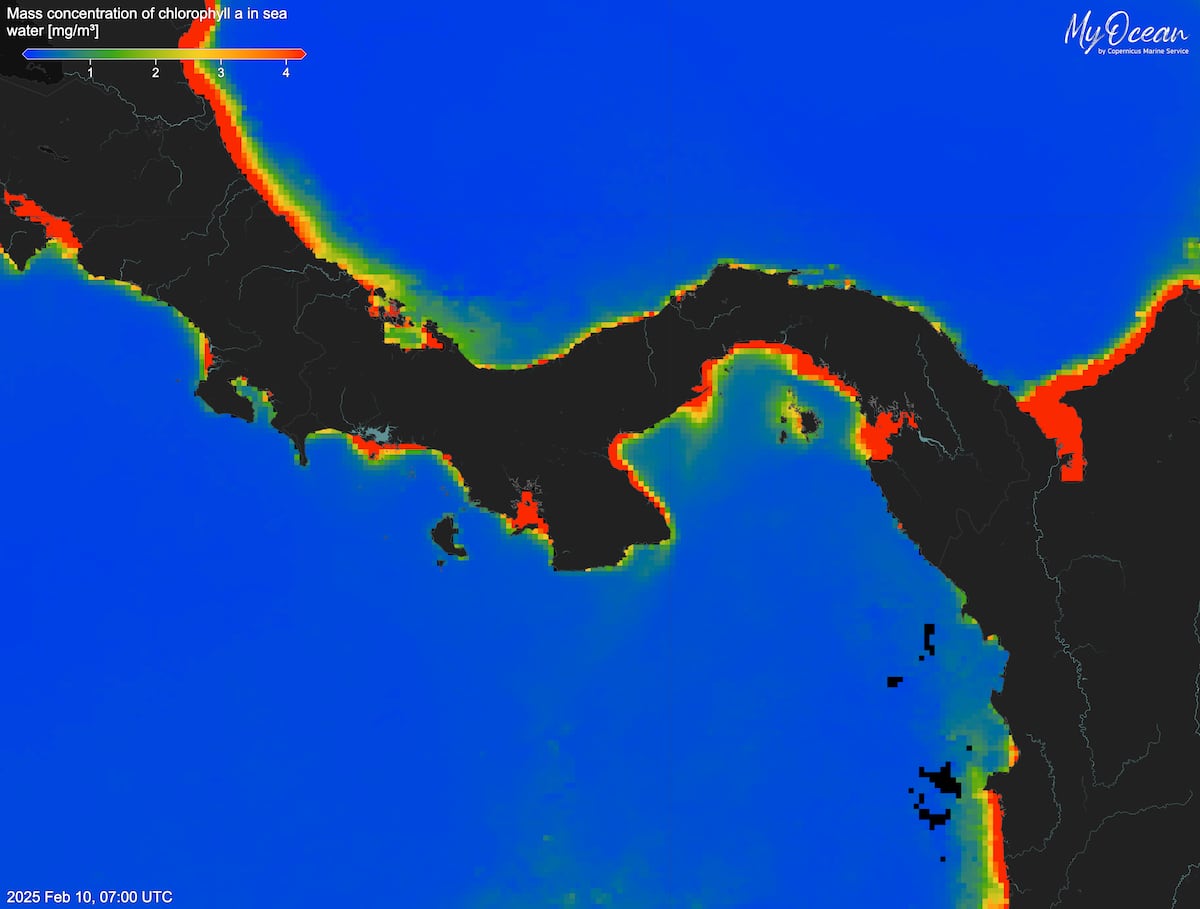 Por primera vez en 40 años, las aguas frías y ricas en nutrientes del Golfo de Panamá no surgieron durante la estación seca 