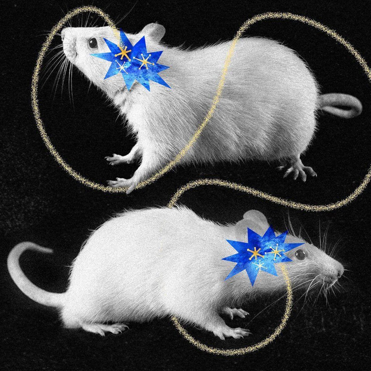 Qué es lo que realmente le hace la dopamina a nuestro cerebro