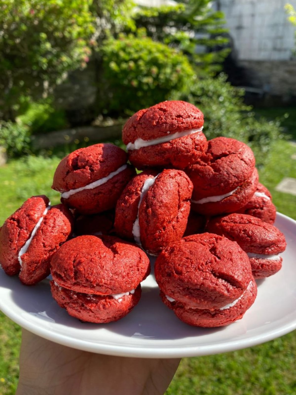 Dulces sin remordimiento: 5 emprendimientos de postres saludables en Panamá