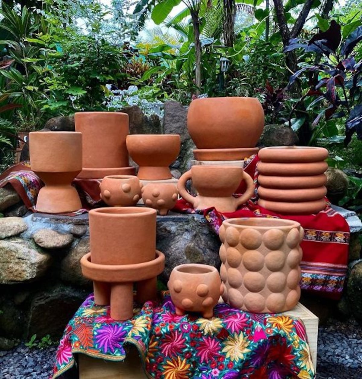 Dónde colocar las plantas (para que vivan felices) en un apartamento