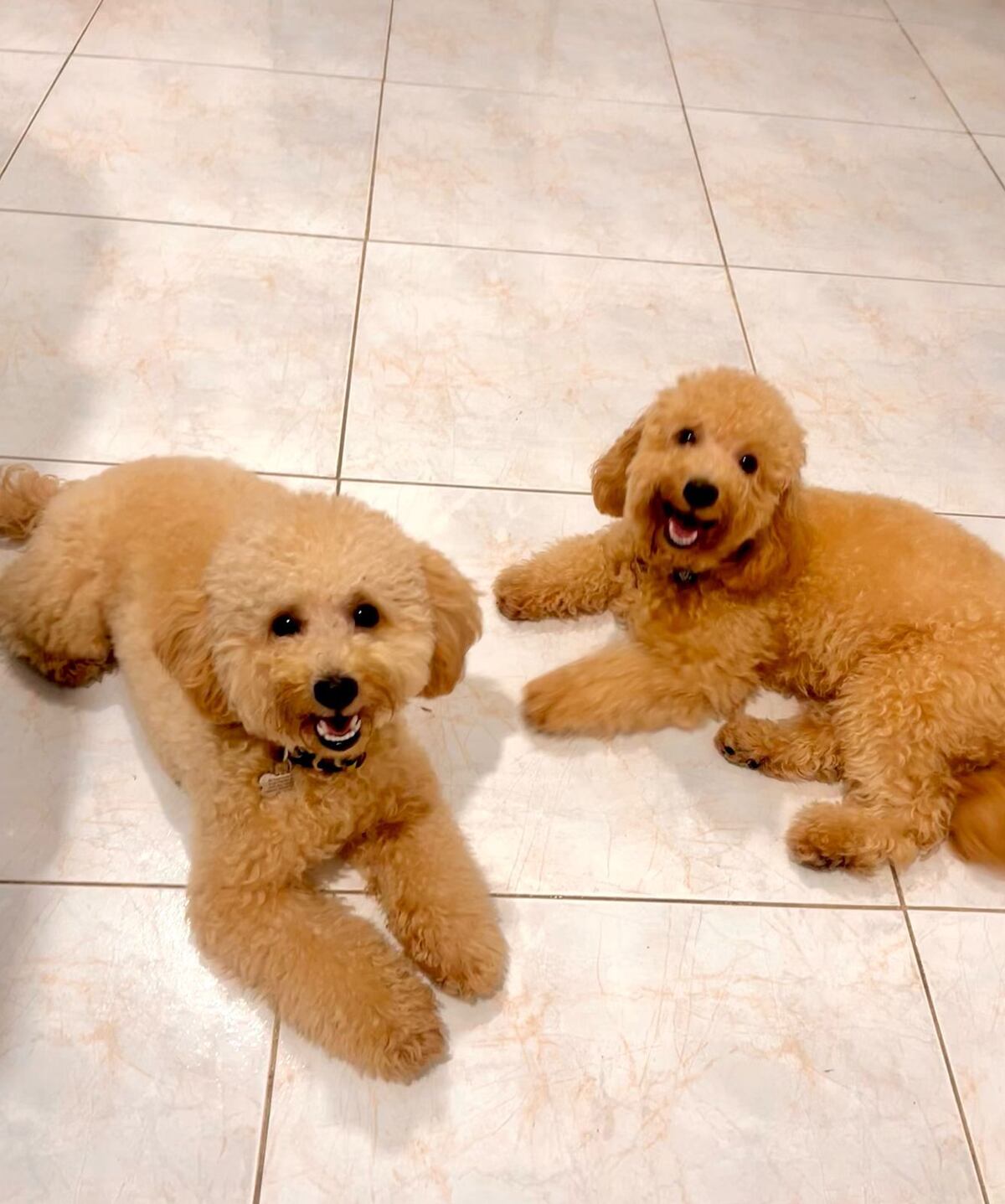 Más espacio para la familia y sus mascotas