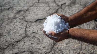 Qué es la intrusión salina y qué efectos puede tener en la economía y nuestra salud