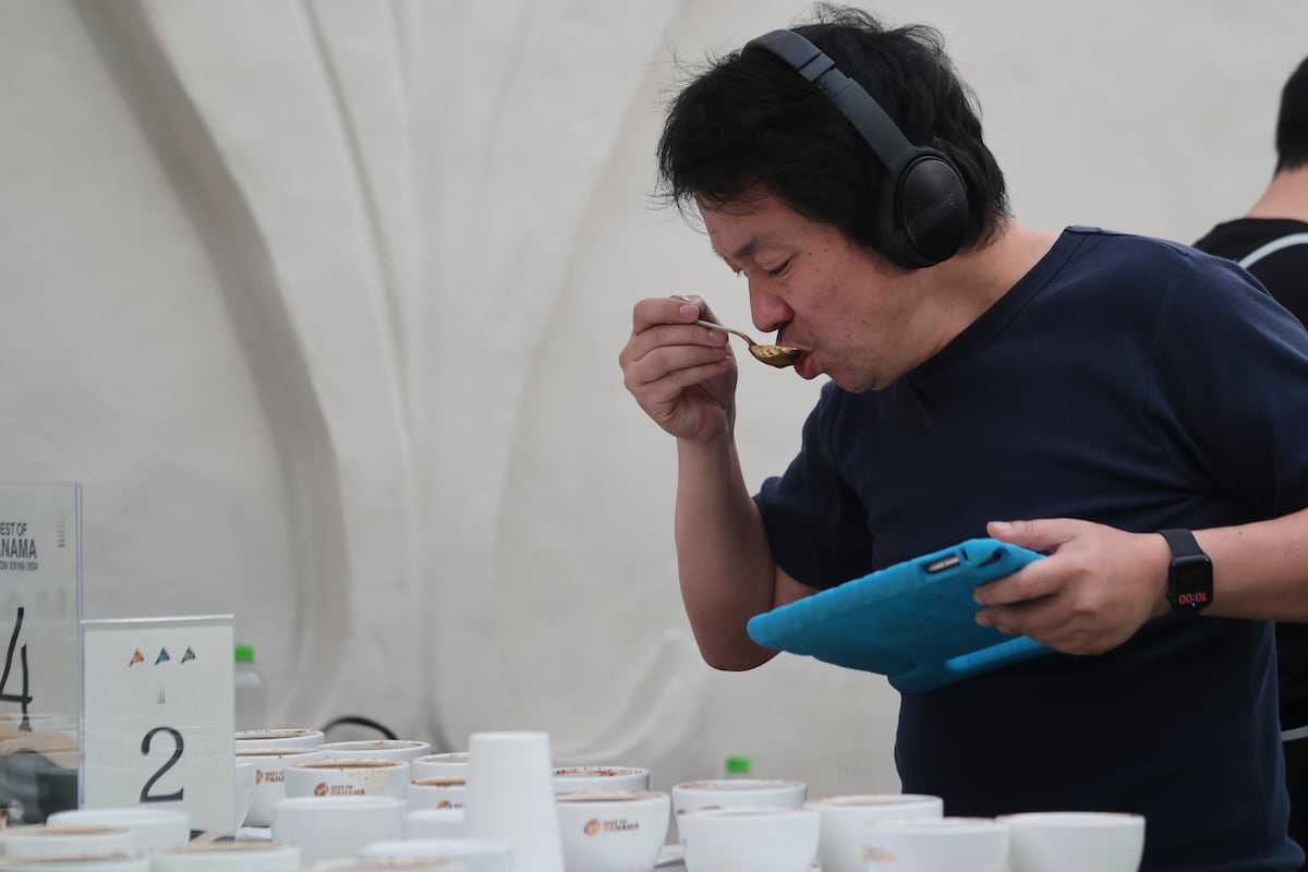 El café geisha natural se alza con el triunfo en la cata internacional ‘Best of Panama’