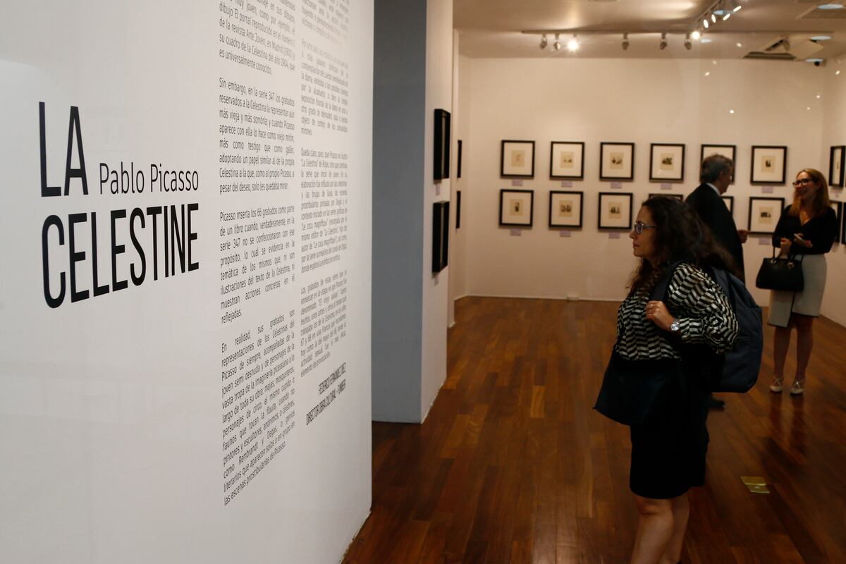 Arte y erotismo: Picasso y ‘La Celestina’ en una exposición con 66 grabados en Panamá