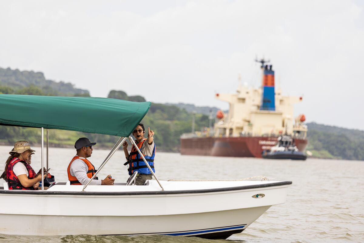 Experiencia Gamboa Rainforest Reserve en Familia