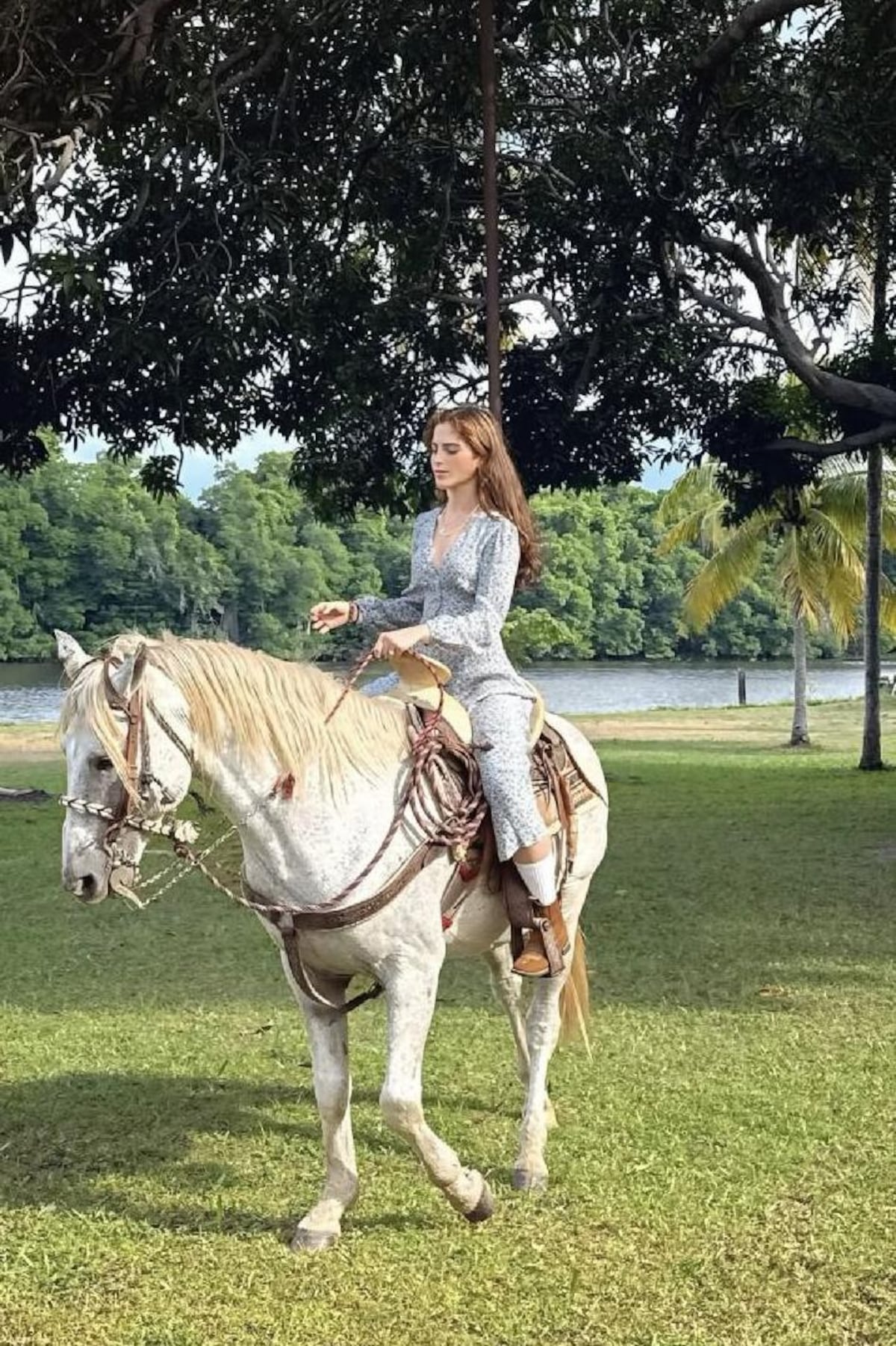 Víctima de bullying y de familia con tradición en la política y los concursos de belleza: quién es Fátima Bosch, la mexicana que ganó el polémico certamen de Miss Universo