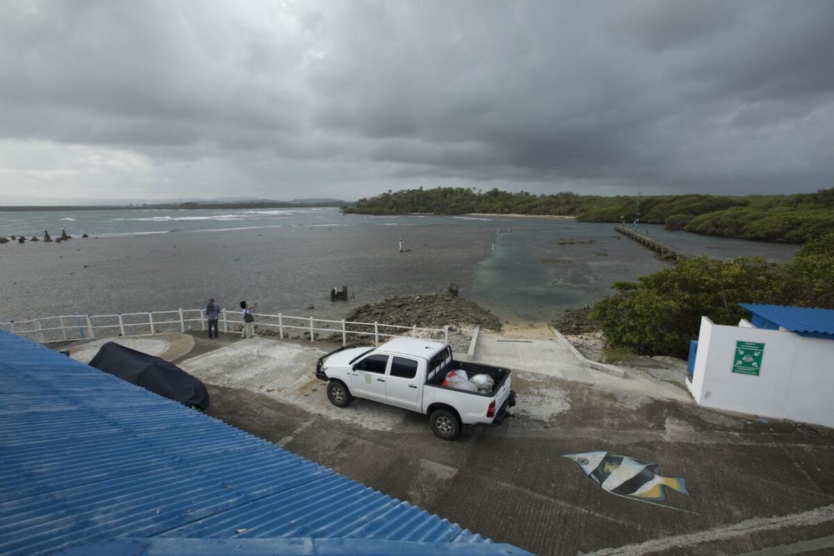 Ciencia frente al mar