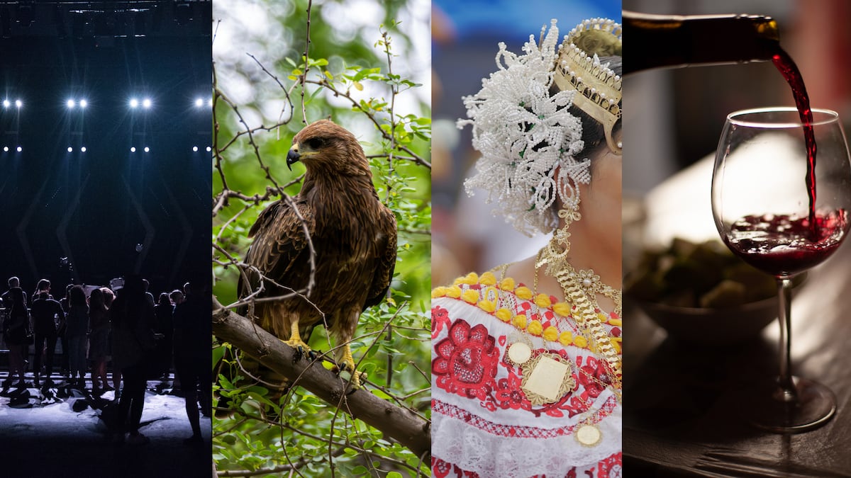 5 actividades en Panamá para disfrutar este fin de semana