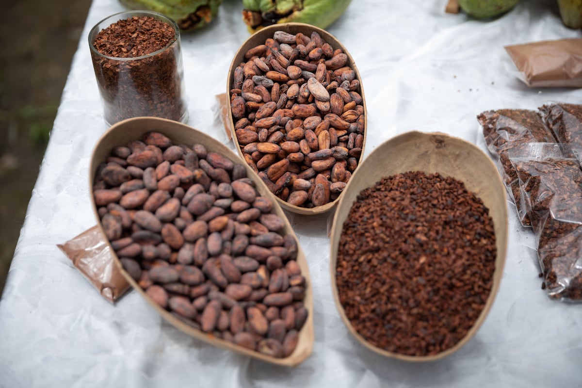 El cacao, un “oro marrón” cada vez más escaso