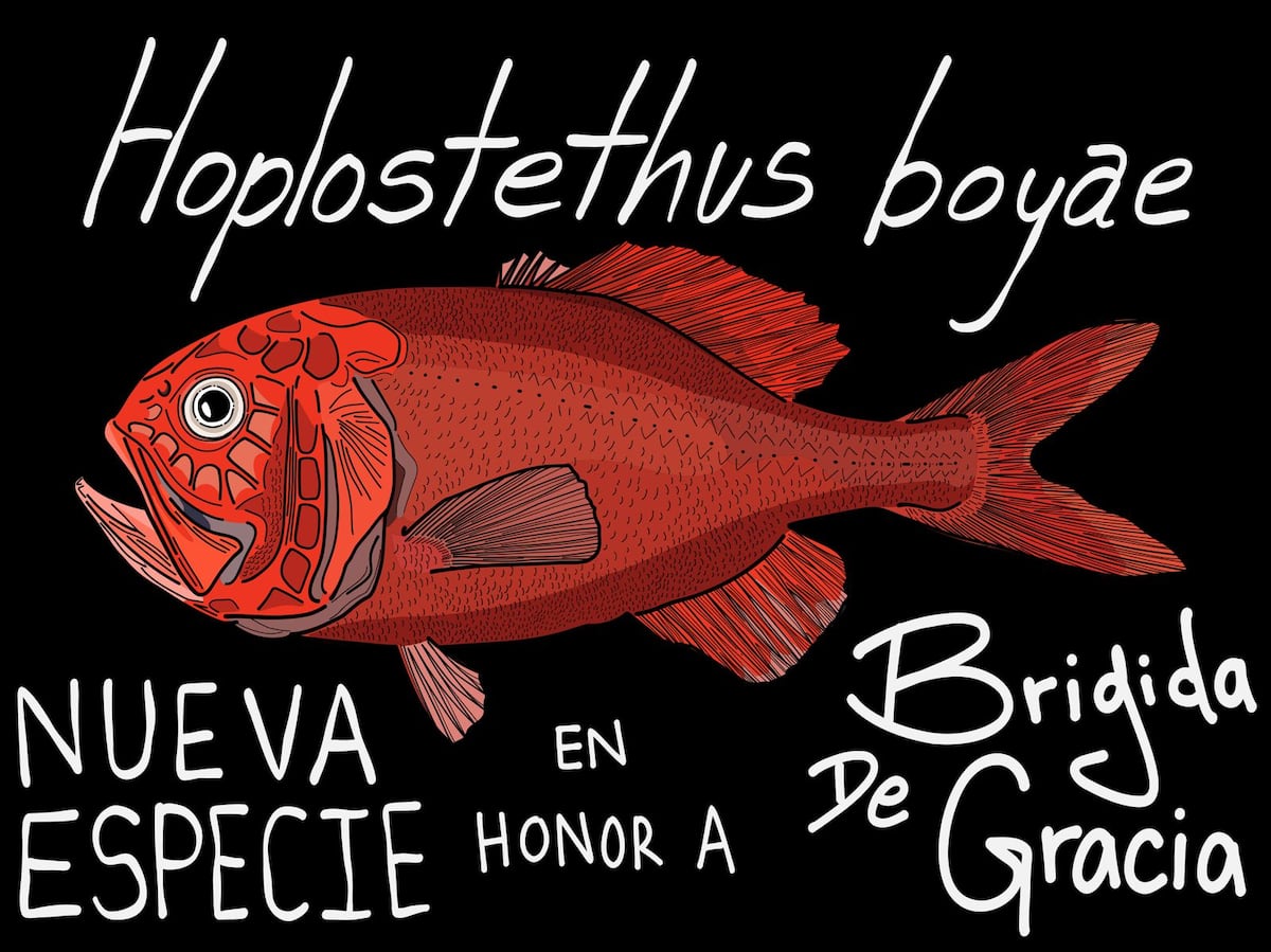 Nueva especie de pez fósil de Panamá lleva el nombre de investigadora Ngäbe del Smithsonian