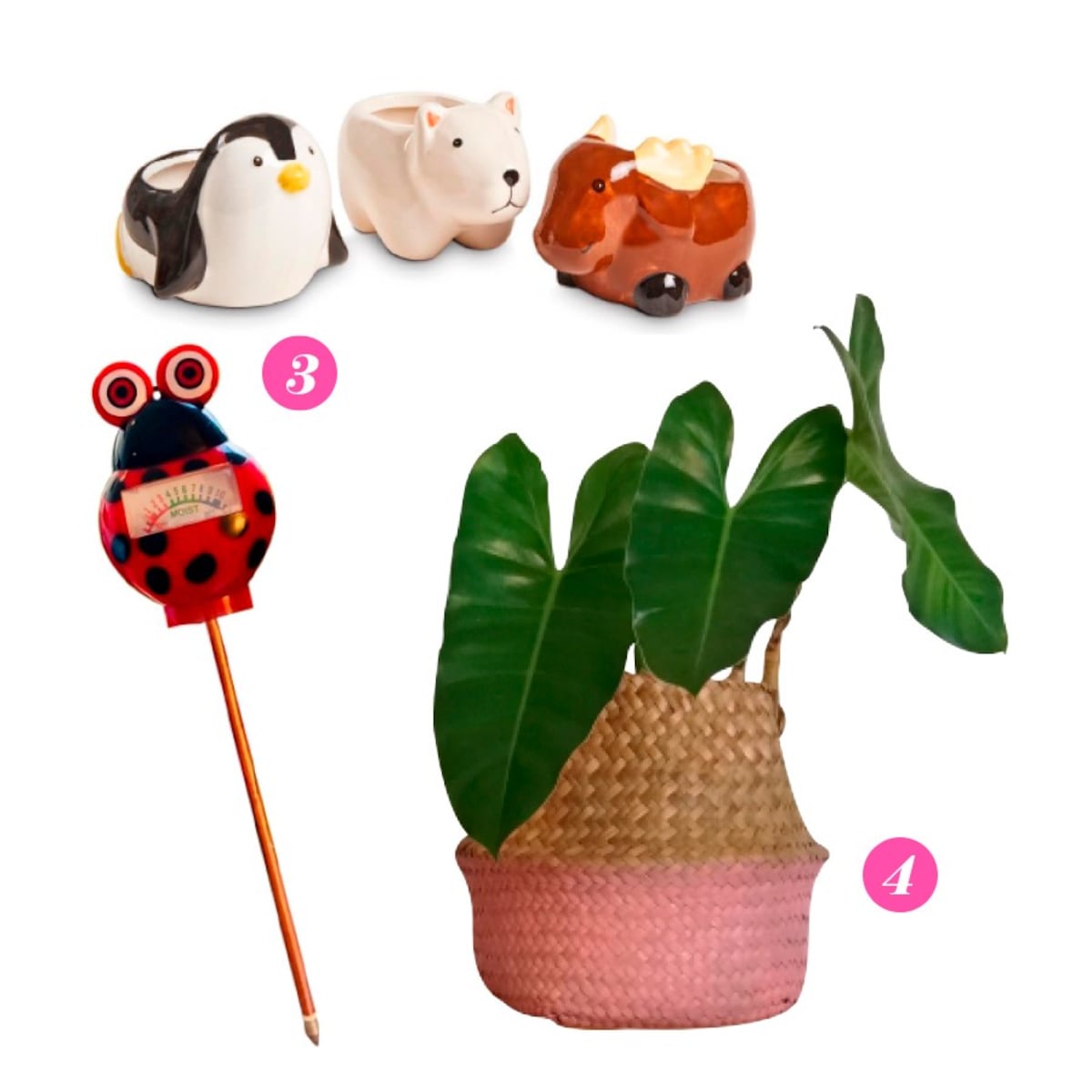 8 accesorios ‘plant lovers’