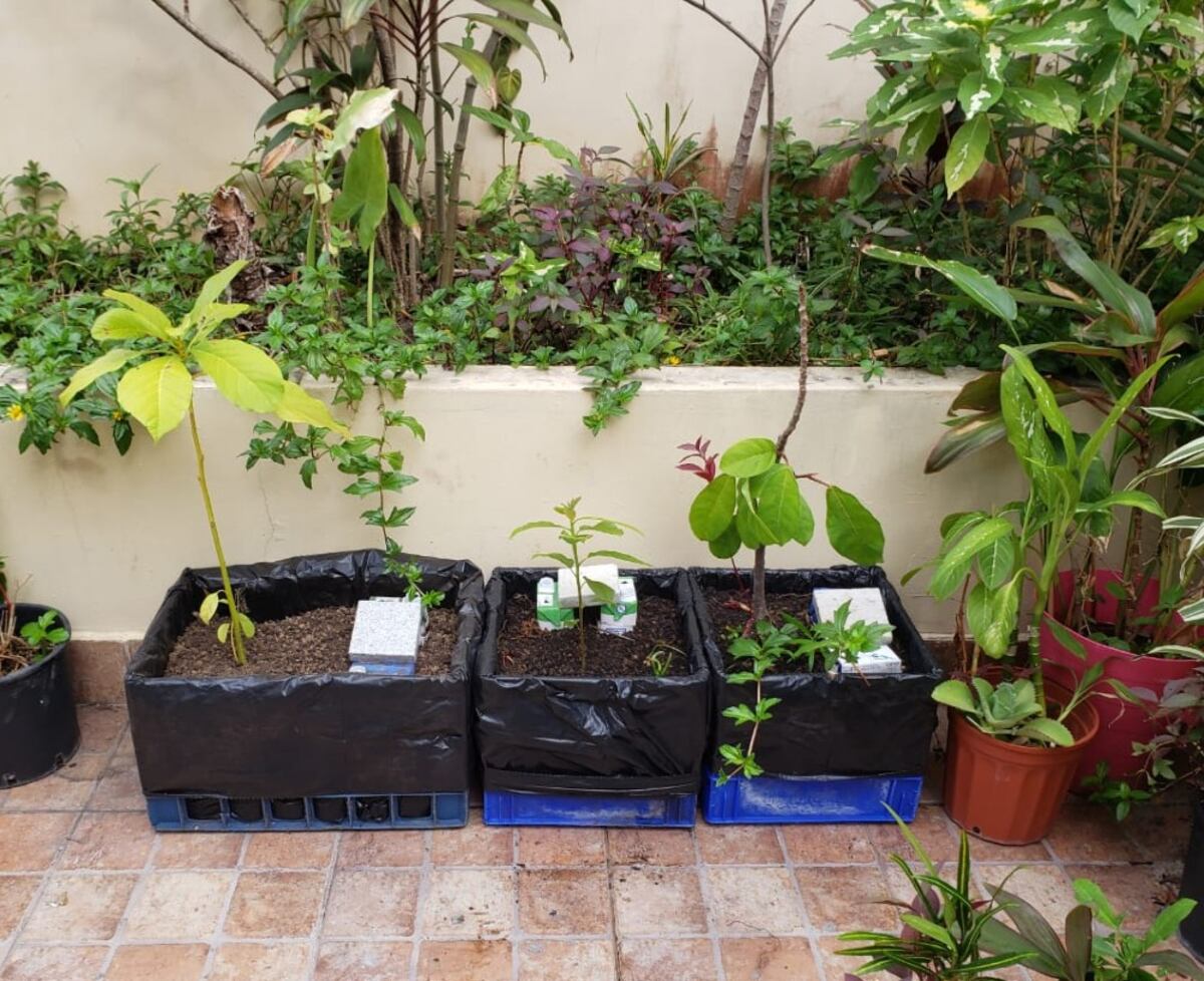 Cómo hacer compost en mi balcón