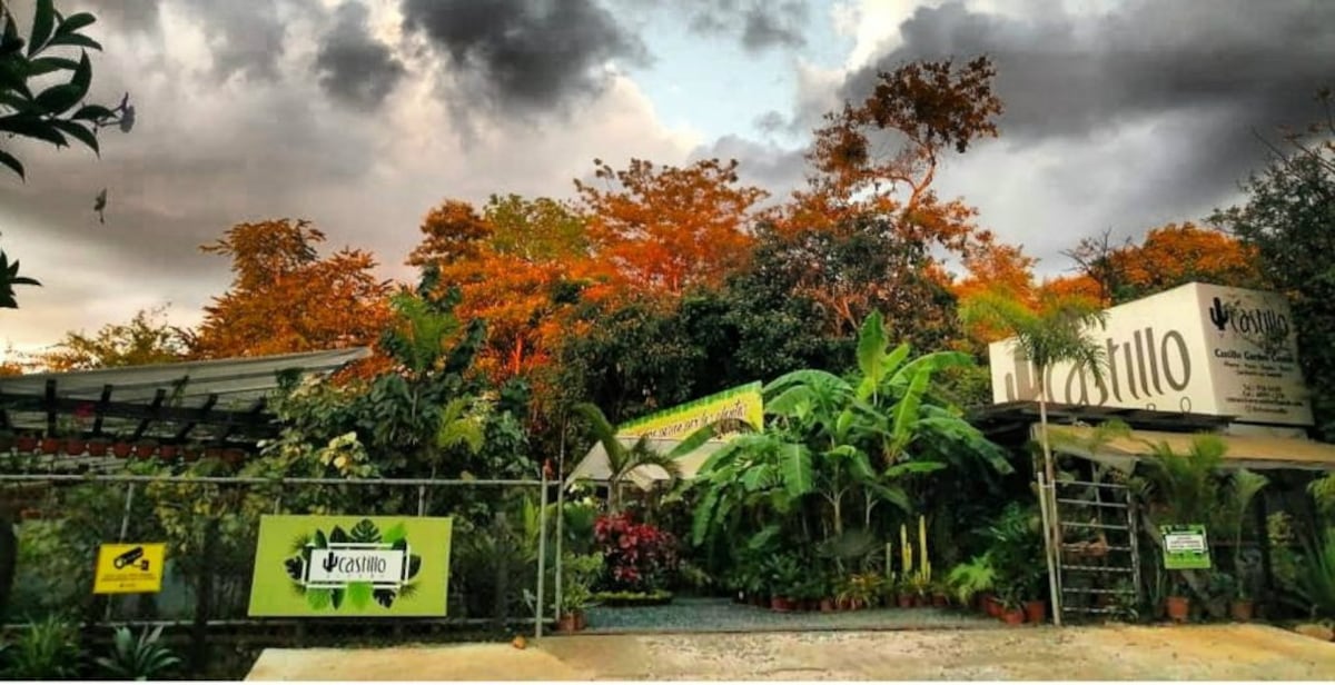 Azuero en ocho paradas