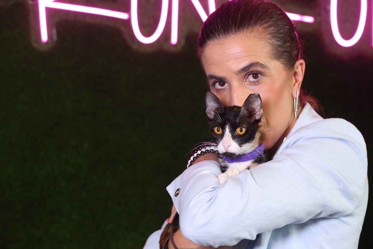 De no querer gatos a salvar más de 100: Laura Ospina y el poder transformador del amor felino