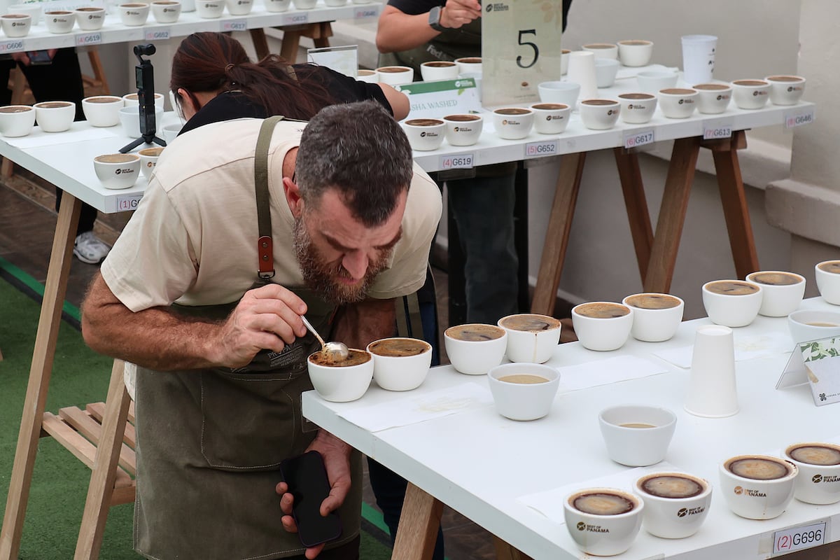 Geisha panameño obtiene la calificación más alta en historia de las competencias de café