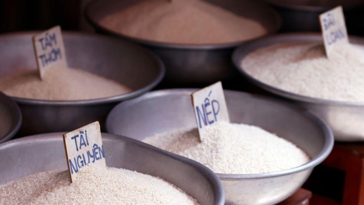 Qué es la intrusión salina y qué efectos puede tener en la economía y nuestra salud