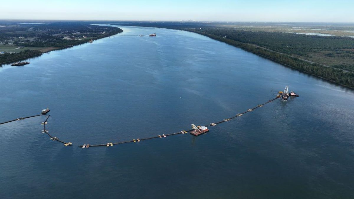 Qué es la intrusión salina y qué efectos puede tener en la economía y nuestra salud