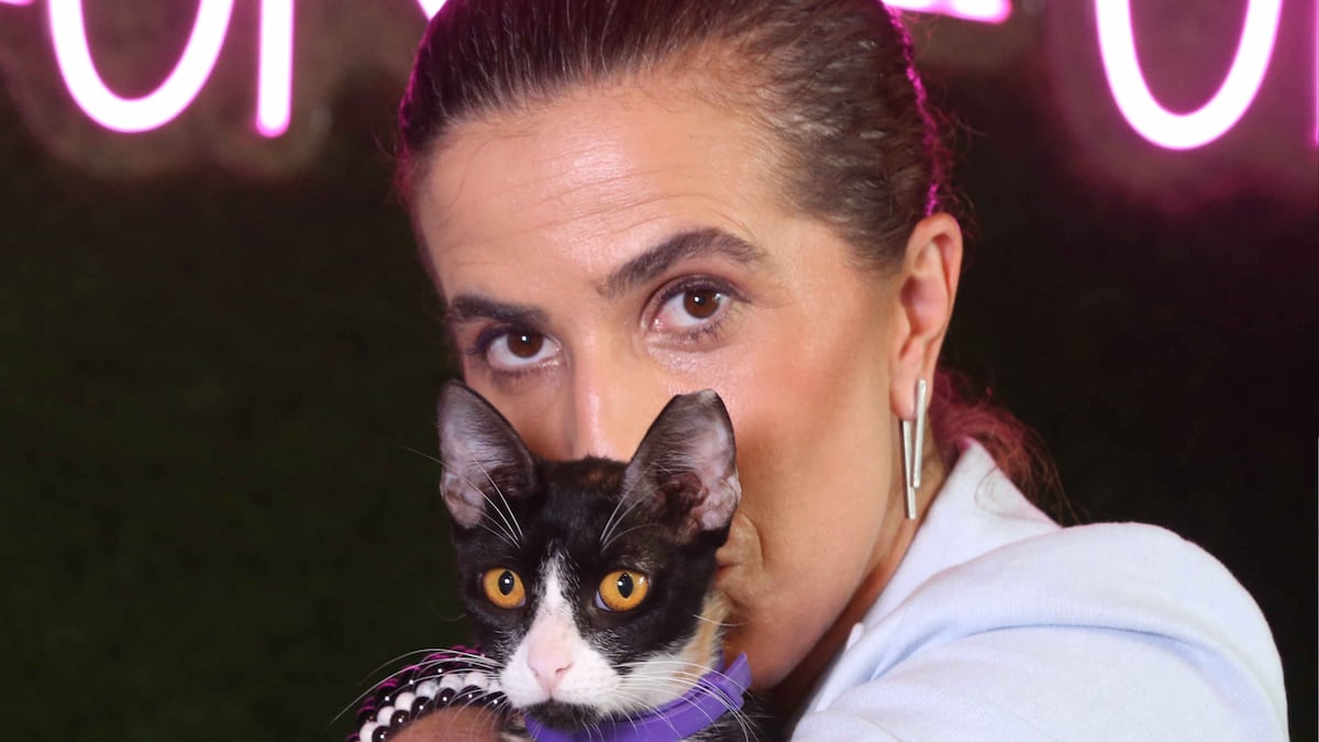 De no querer gatos a salvar más de 100: Laura Ospina y el poder transformador del amor felino