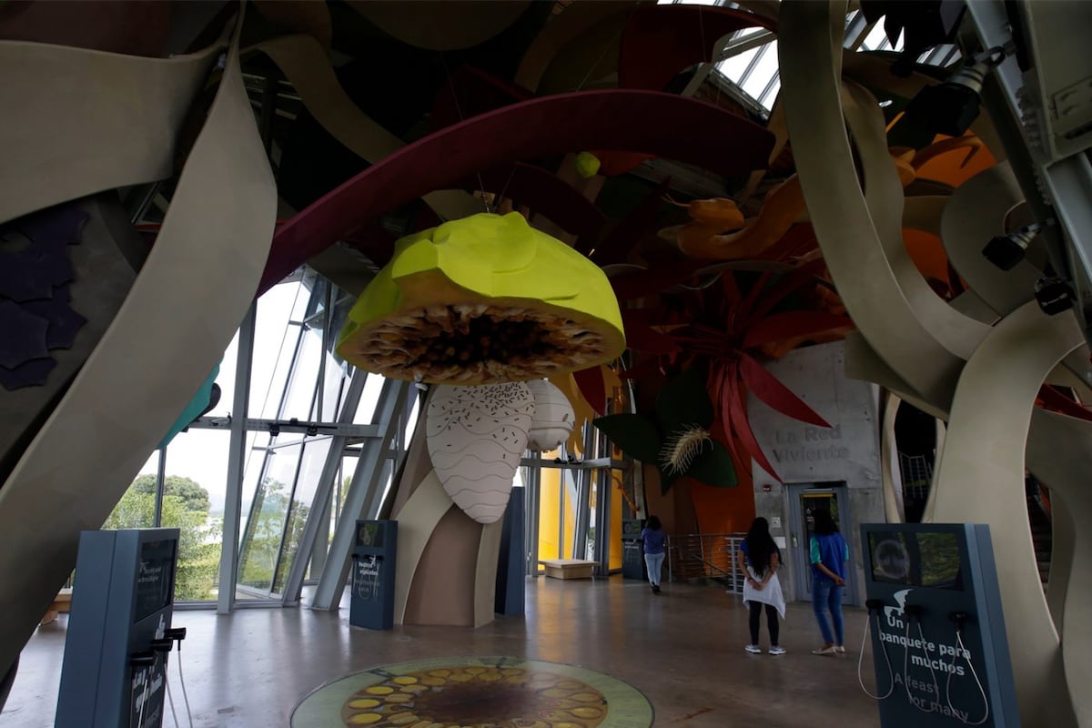 Océanos divididos, el nuevo acuario del Biomuseo