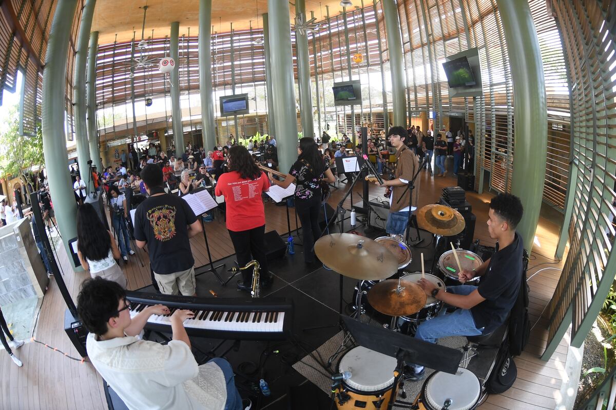 Panama Jazz Festival 2025; entre música, arte y aprendizaje