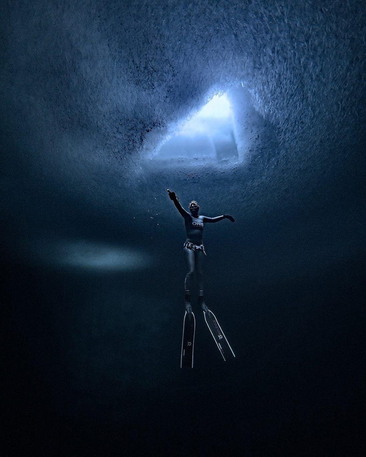 Las imágenes de los cementerios de ballenas que transforman las profundidades del mar