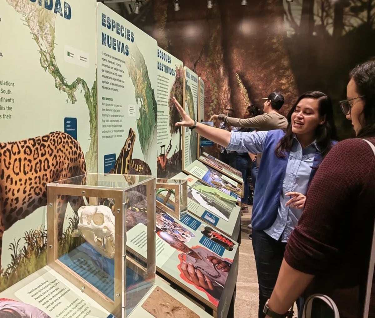 10 museos que puedes visitar este mes en Panamá (cinco son gratis)