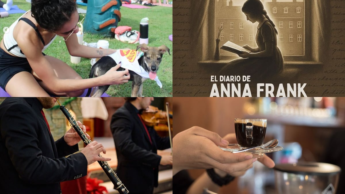 Cultura, café y bienestar: actividades que te esperan este fin de semana en Panamá 