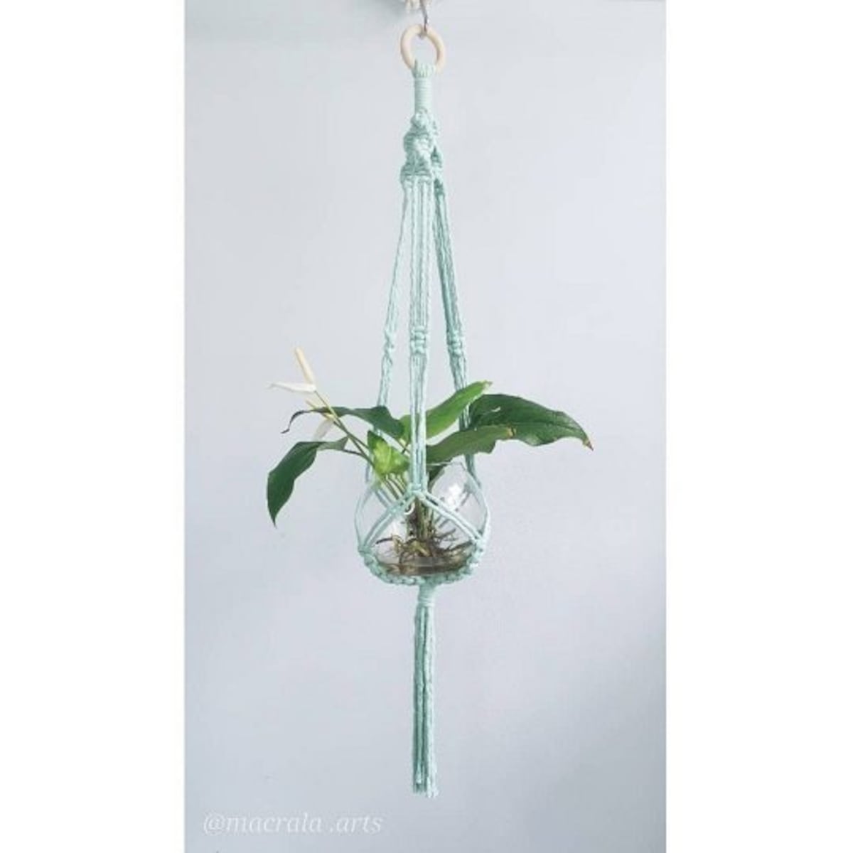 Dónde colocar las plantas (para que vivan felices) en un apartamento