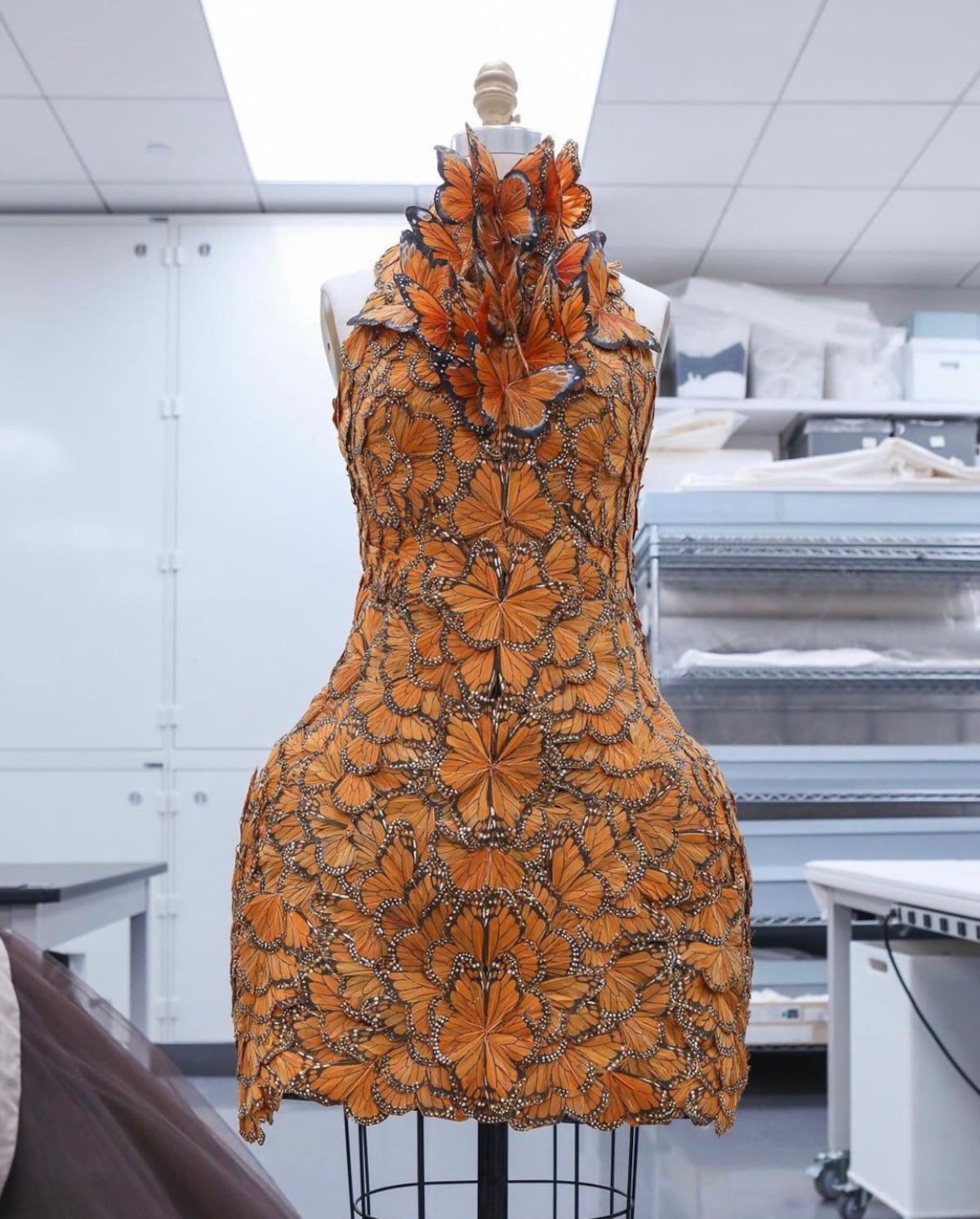 Las bellas durmientes de la moda despiertan para la próxima gala del Met