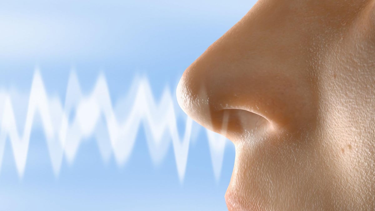 Qué es el ciclo nasal que regula nuestra respiración y cómo cuidarlo para tener una buena salud