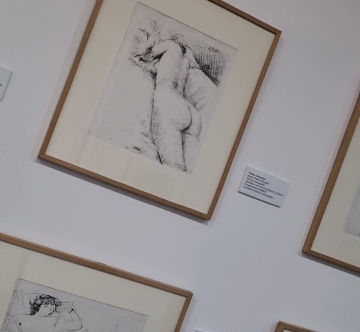 40 litografías ‘sorprendentes’ de Picasso en Panamá