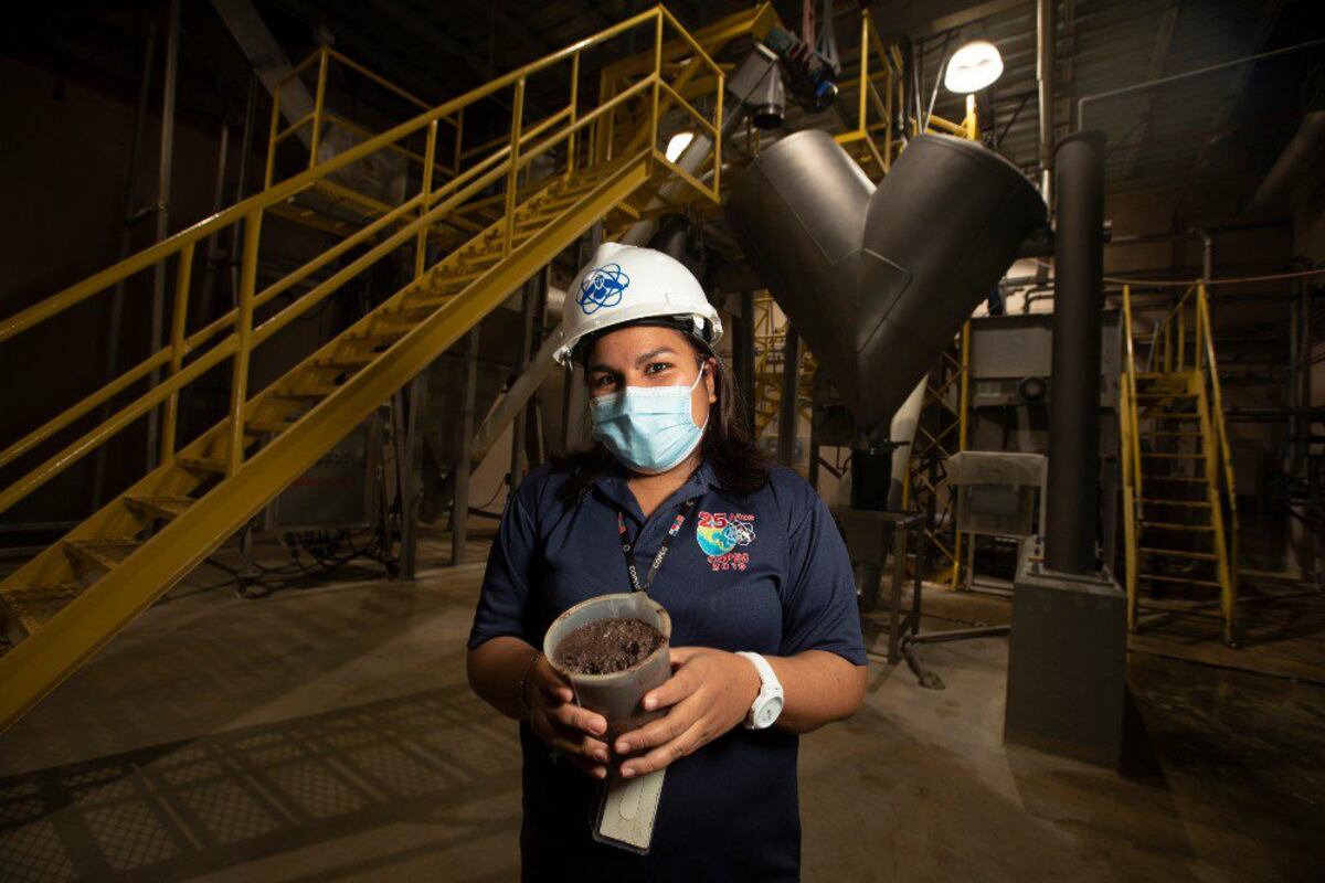 La mosca estéril que solo se produce en Panamá