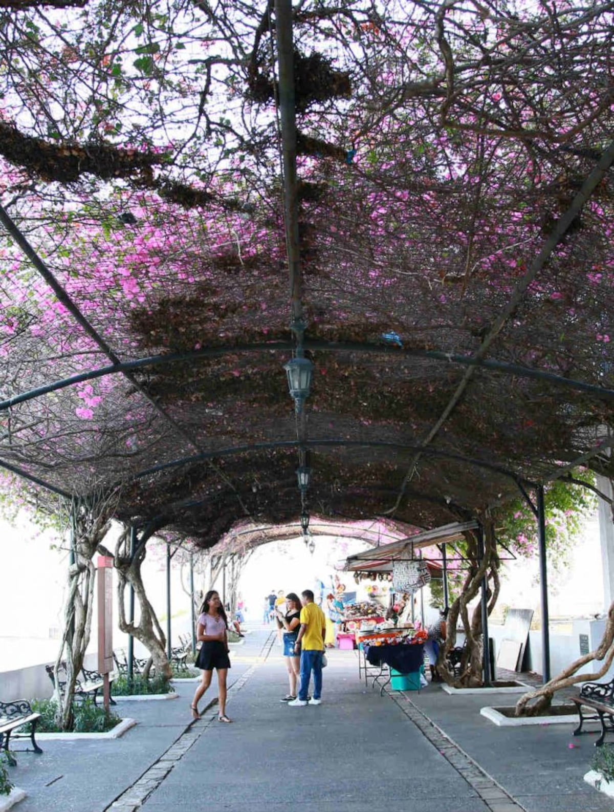 Estas son las 10 notas más leídas en Ellas.pa en 2020