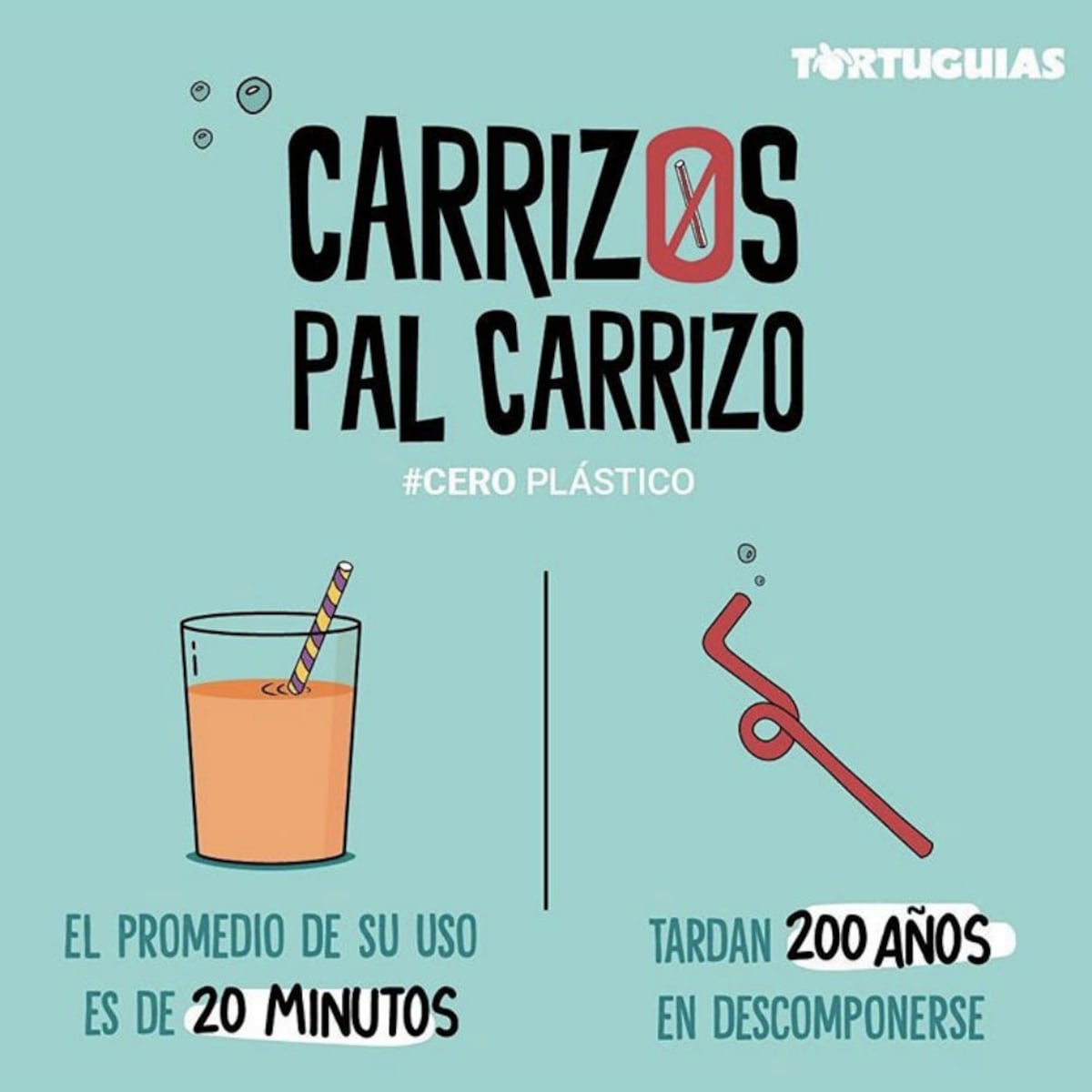 Lo que el año nos dejó