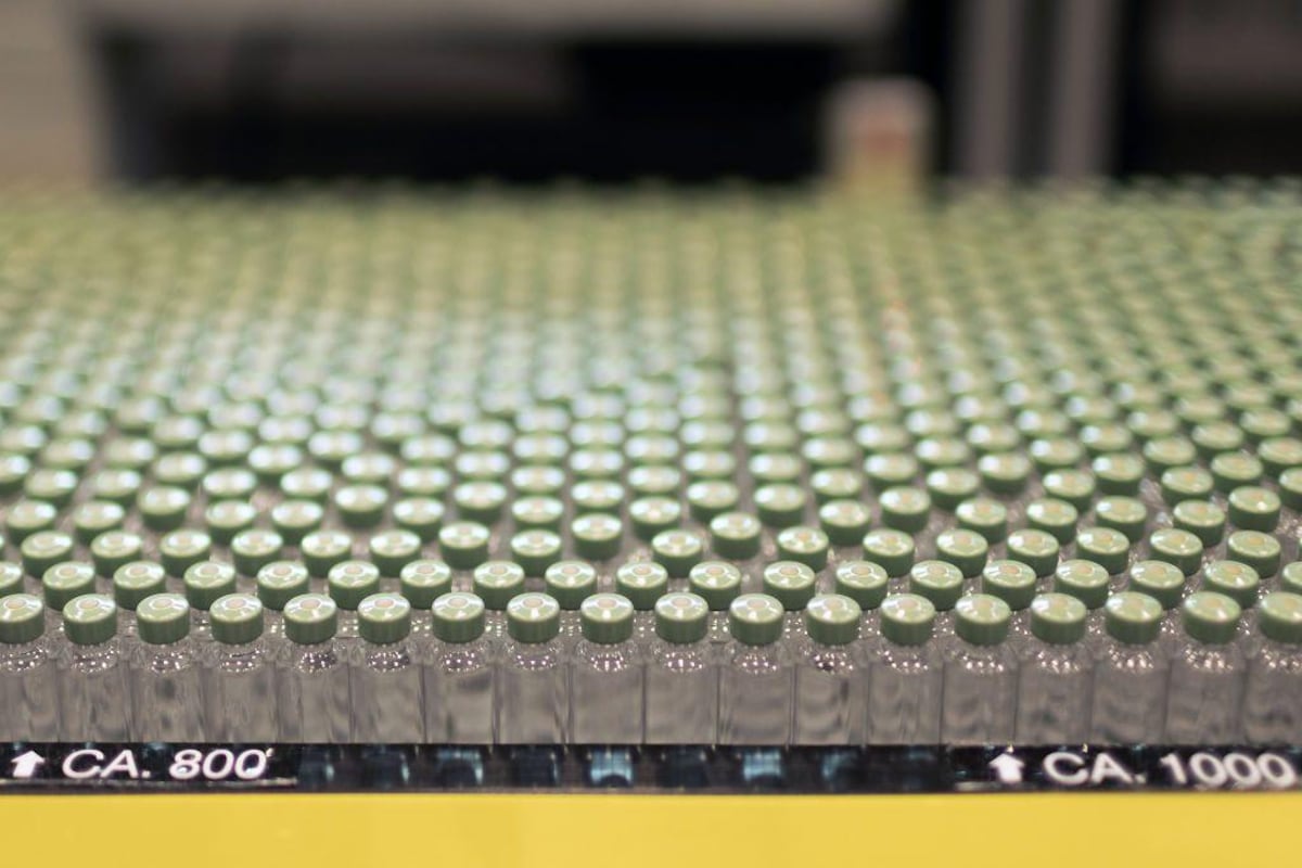 Cómo el fin de la patente de Ozempic en India puede cambiar la lucha global contra la obesidad (y cuáles son los riesgos)